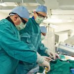 cost of mitral valve repair in india