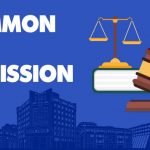Career Options in law