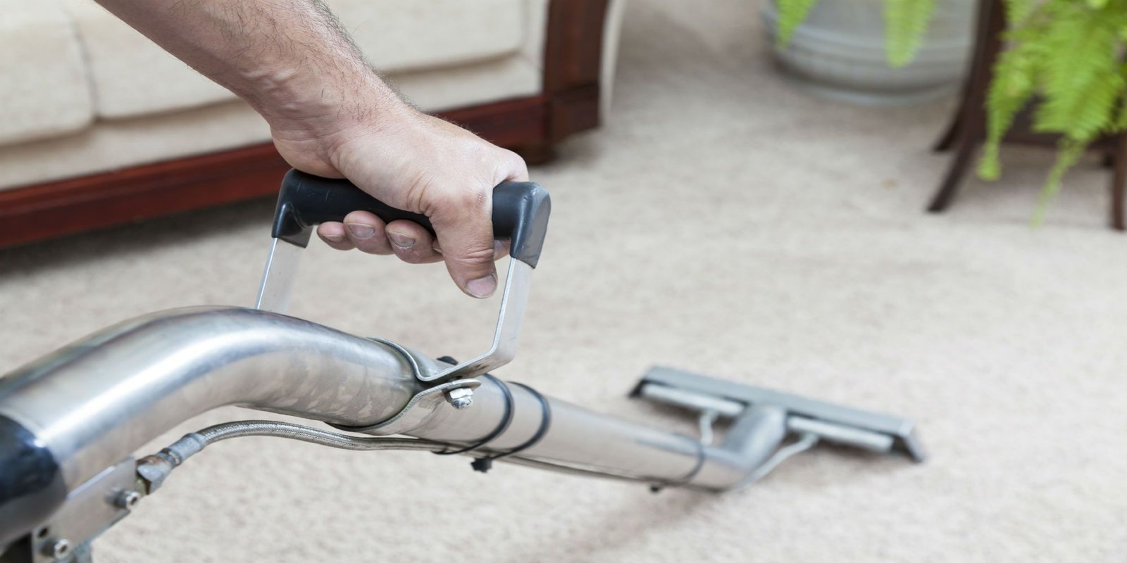 Keep Your Home Dirt Free With The Professional Carpet Cleaning Services