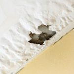 Water Damage in Your House