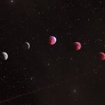 Know the Basic Nature of Your Ascendant