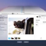 Recover Recently Deleted Files from Desktop