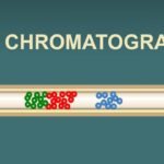 Gas Chromatography