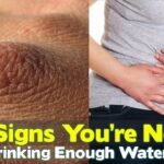 alcohol support programs