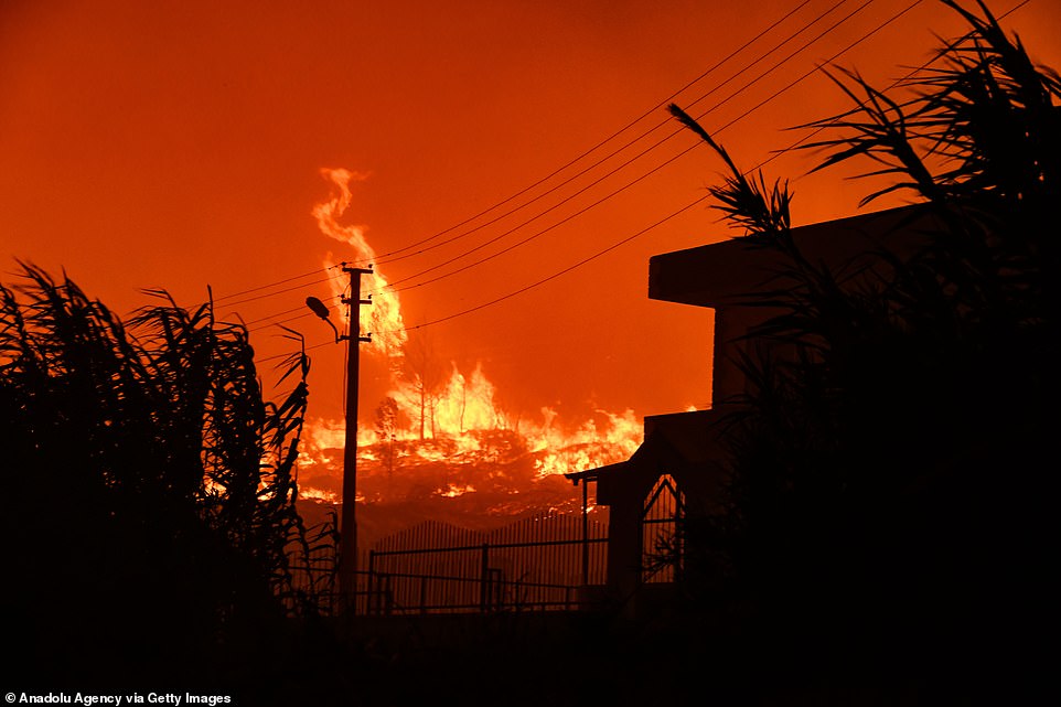 3 Dead and 58 hospitalized due to Wild flames of Southern Turkey