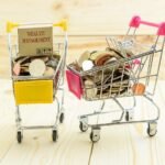 What are blue-chip funds?