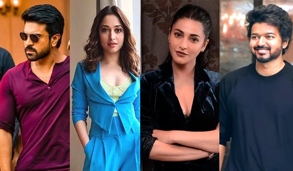 South Indian Stars Who Successfully Run Their Other Businesses