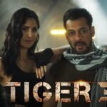 Tiger 3