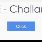 E-challan