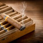 The Best Tips for Beginners and Pros When Buying High-Quality Cigars