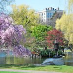 Boston In The Spring
