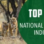 National Parks in India