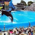 Top Tourist Attractions in California