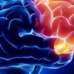 top 10 neurologist in Kolkata