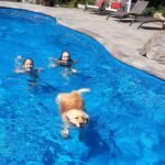 The Many Benefits That Come With Owning A Fibreglass Pool