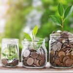 Before Investing, Calculate Interest on FD to Increase Your Savings