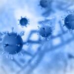 h3n2 influenza virus