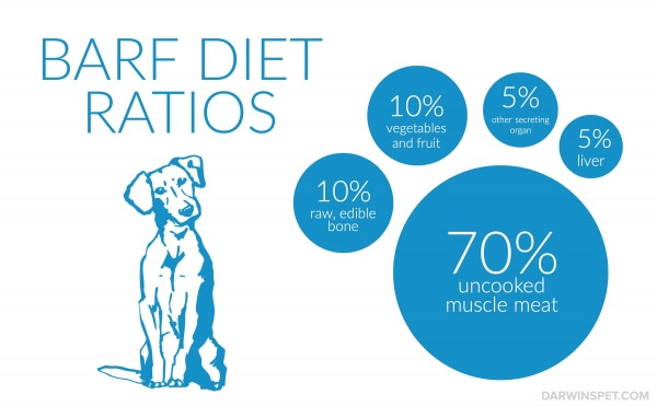 The Benefits Of A Bones And Raw Food (BARF) Diet For Dogs: A Comprehensive Guide