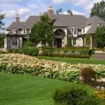 How Do I Know if My Lawn Is Diseased