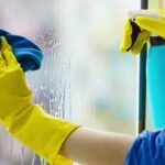 Professional Window Cleaning Services