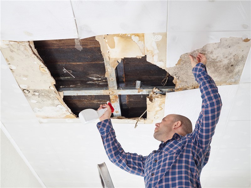 How To Prevent Mold After Water Damage