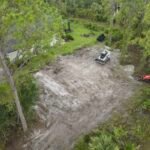 Tree removal services