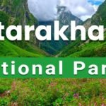 National Park in Uttarakhand