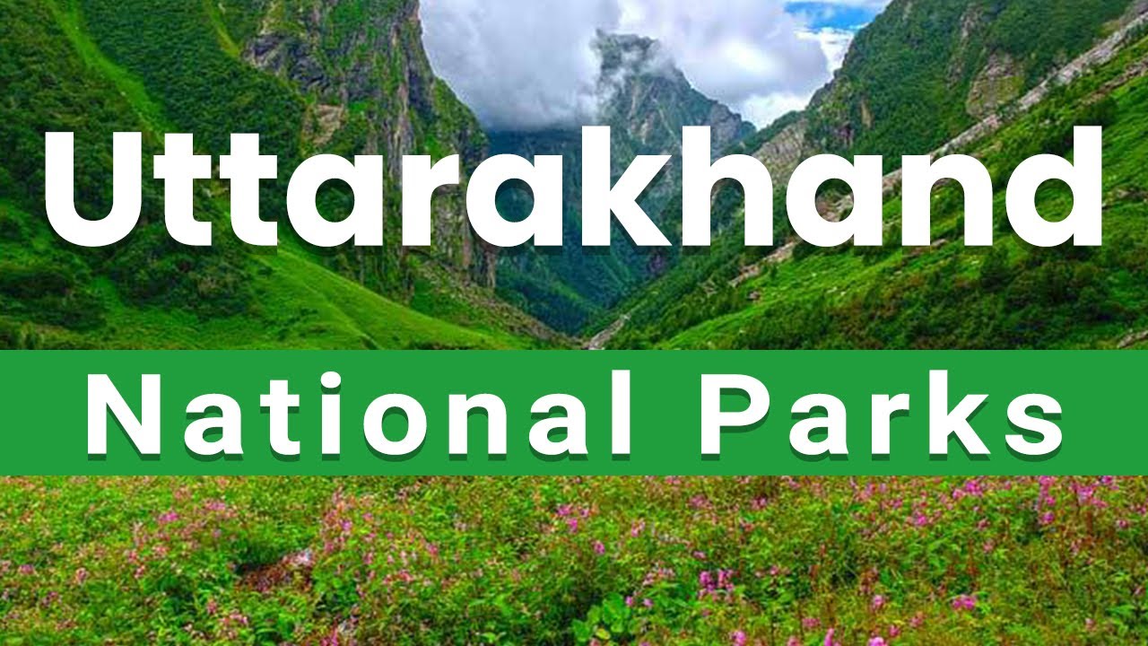 7 Major National Park in Uttarakhand: Uttarakhand’s Natural Treasures