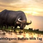 WellHealthOrganic Buffalo Milk Tag