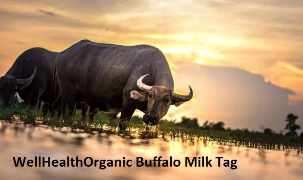 WellHealthOrganic Buffalo Milk Tag