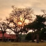 African Safari Adventure