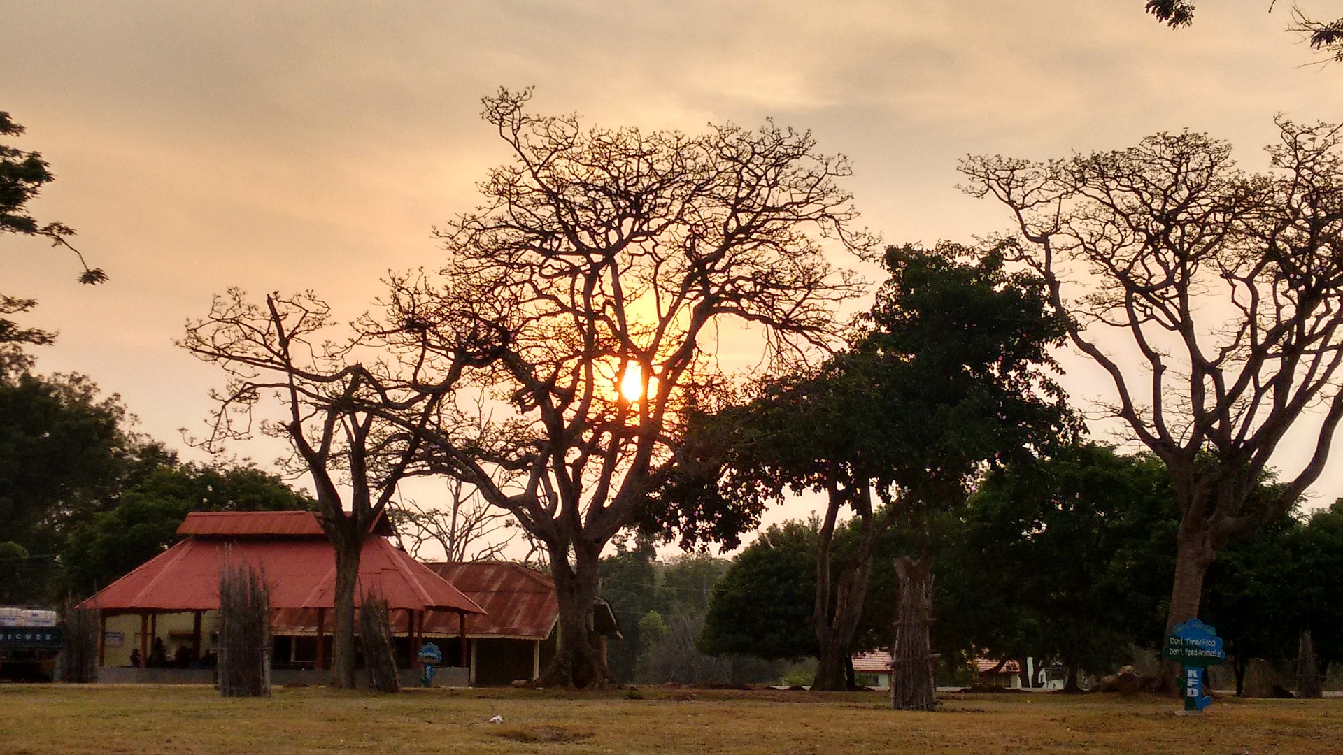 Embarking on the Ultimate African Safari Adventure: A Journey into the Heart of the Wild