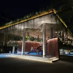 the palms brew and kitchen