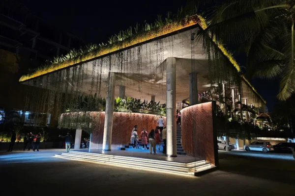 the palms brew and kitchen