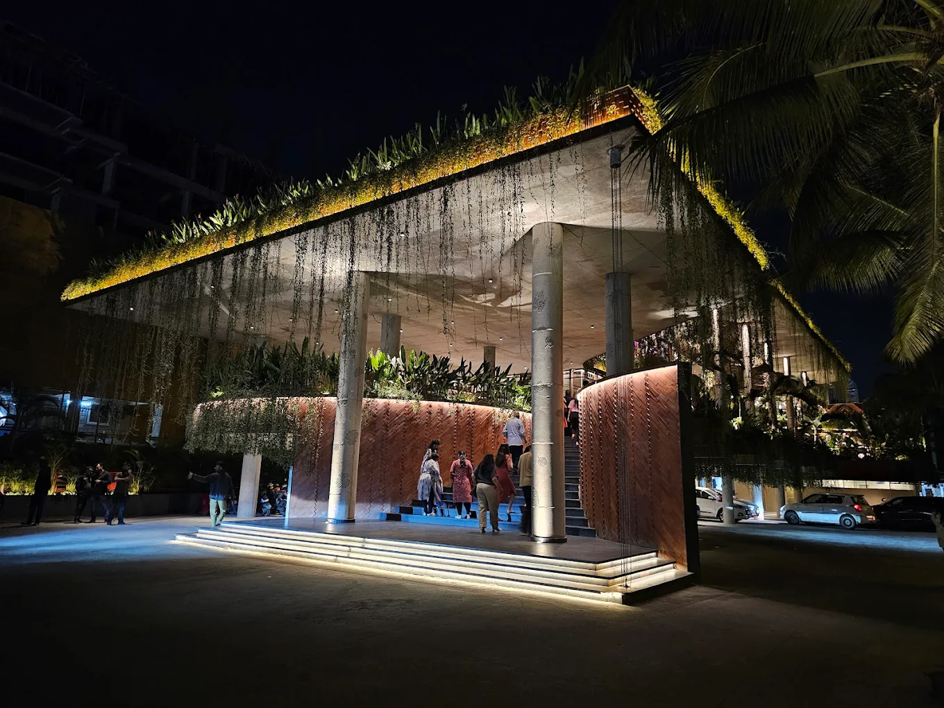 the palms brew and kitchen