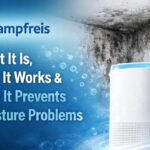 Dampfreis: What It Is, How It Works & Why It Prevents Moisture Problems